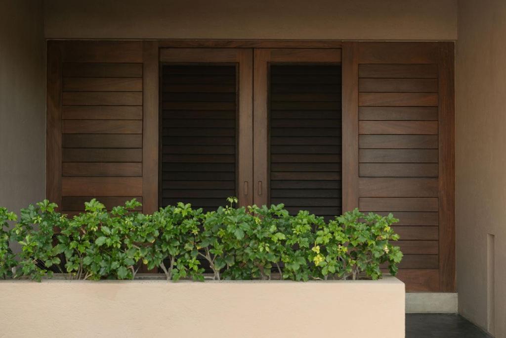 Lo Sereno Casa De Playa Troncones Extérieur photo