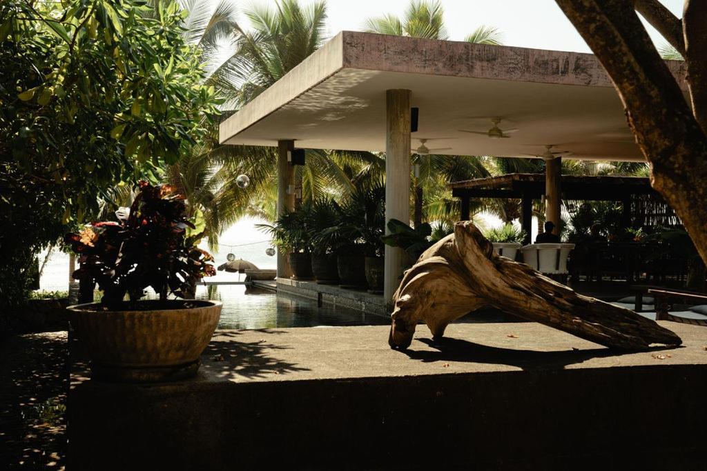 Lo Sereno Casa De Playa Troncones Extérieur photo